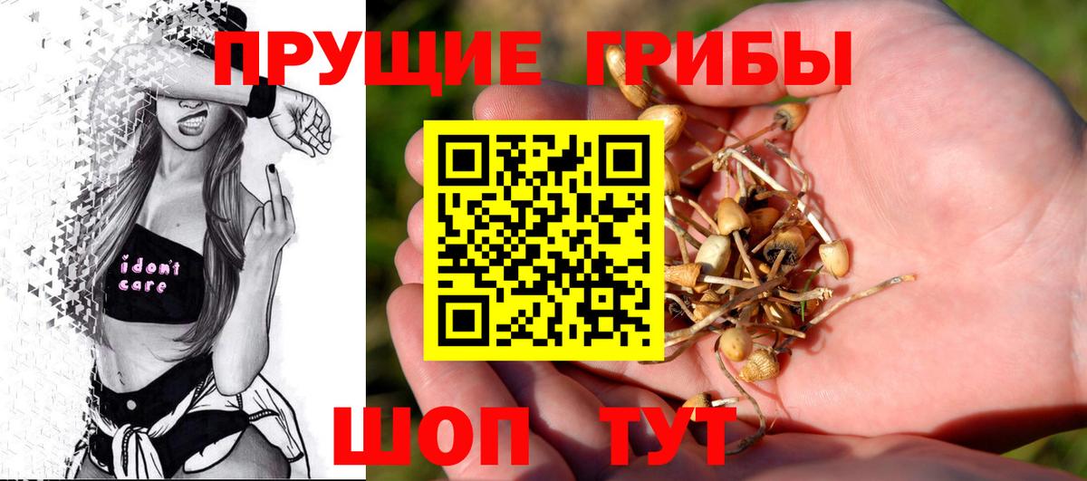 Галлюциногенные грибы прущие грибы  Вход с VPN  Псилоцибиновые грибы MAGIC MUSHROOMS  сколько стоит  Нальчик 