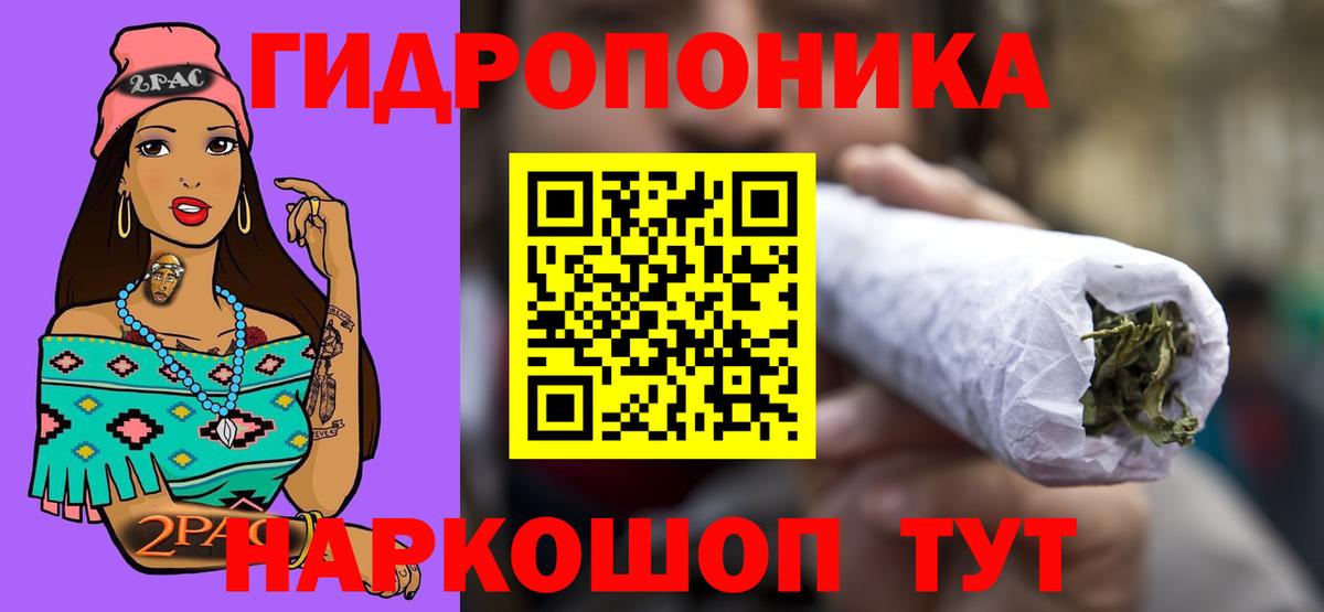 Бошки Шишки MAZAR Нальчик